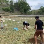 Pemuda di Gunungkidul Perbaiki Telaga yang Rusak Pakai Kotoran Sapi