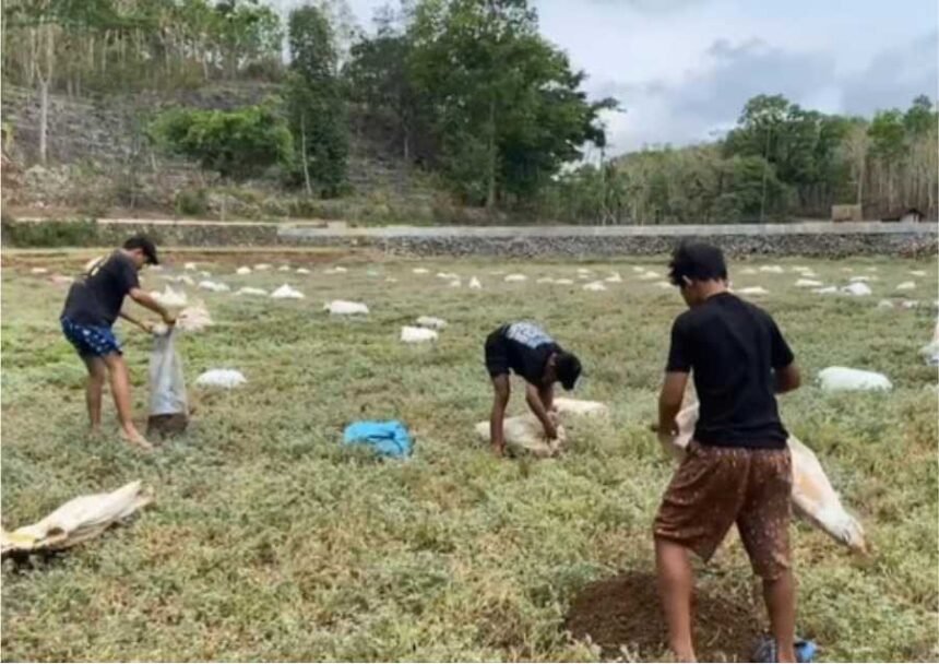 Pemuda di Gunungkidul Perbaiki Telaga yang Rusak Pakai Kotoran Sapi