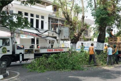 Pemkot Yogyakarta Rutin Pangkas Pohon Rimbun Antisipasi Tumbang